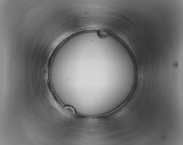 X0000110691034200906261339