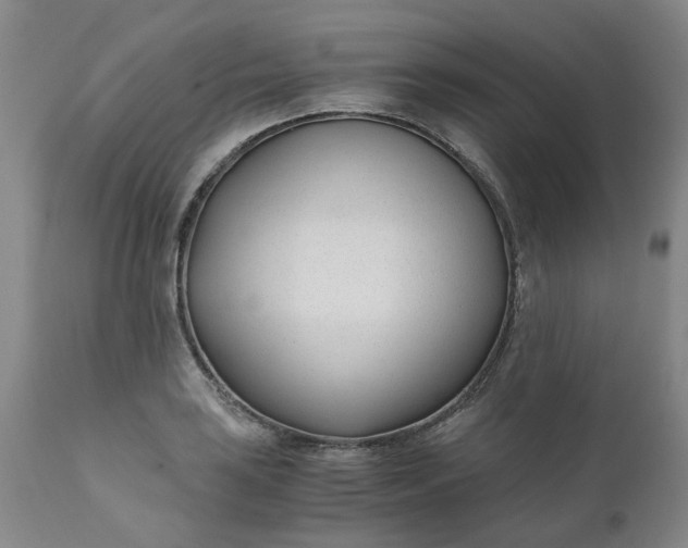 X0000110691035200906261339