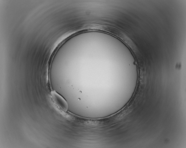 X0000110691036200906261339