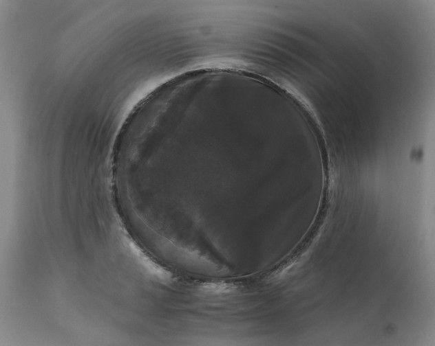 X0000110691037200906261339