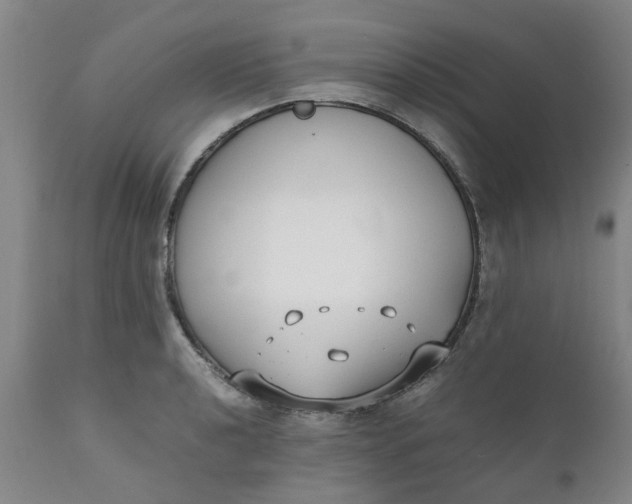 X0000110691040200906261339