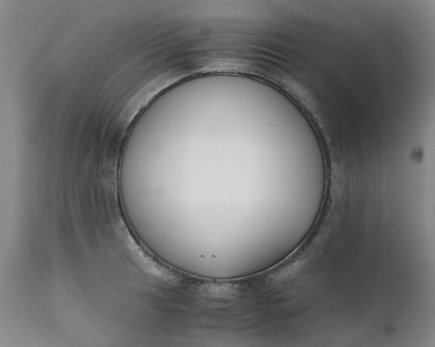 X0000110691041200906261339