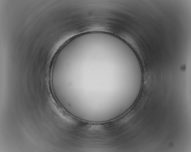 X0000110691043200906261339