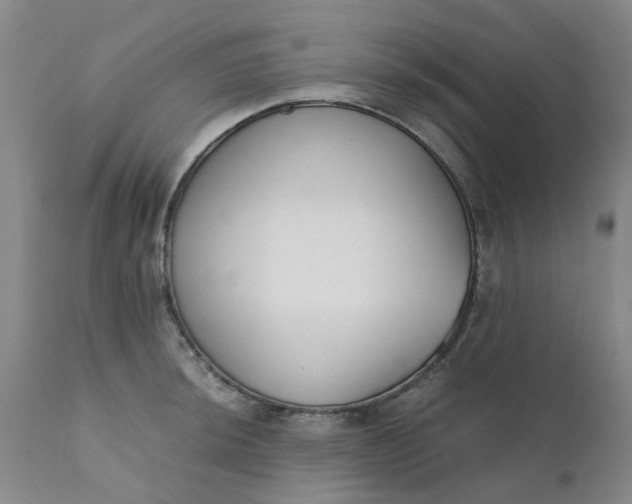 X0000110691044200906261339