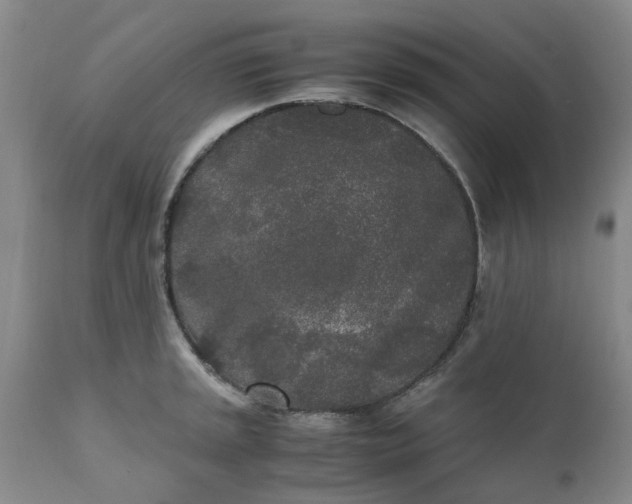 X0000110691045200906261339