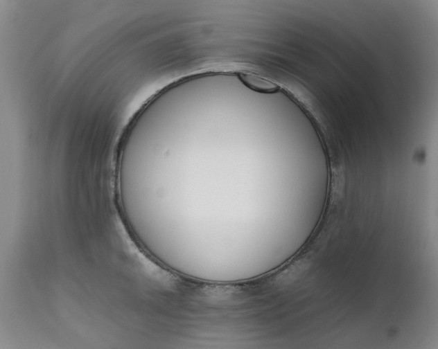 X0000110691046200906261339