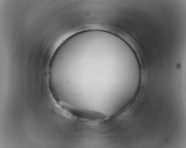 X0000110691048200906261339