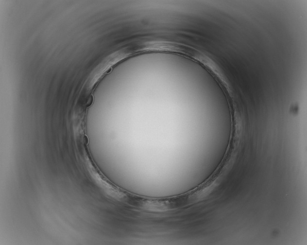 X0000110691049200906261339