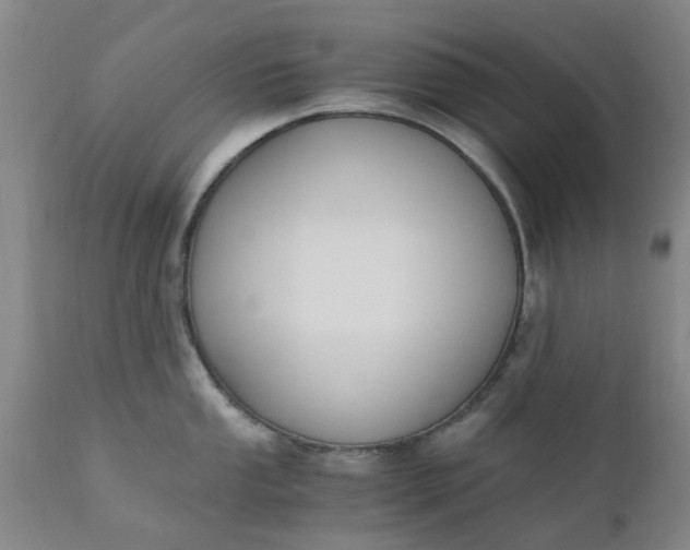 X0000110691053200906261339