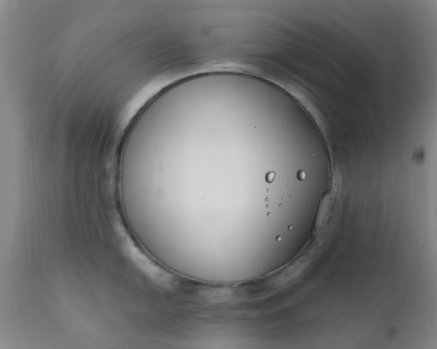 X0000110691054200906261339