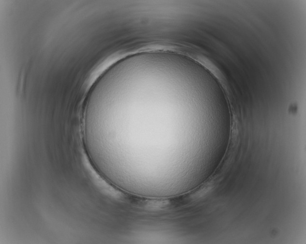 X0000110691055200906261339