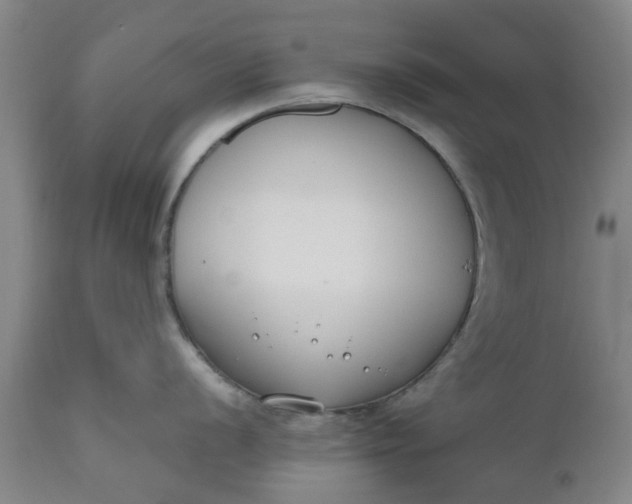 X0000110691056200906261339