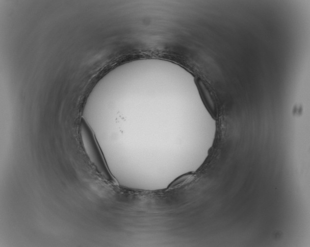 X0000110691057200906261339