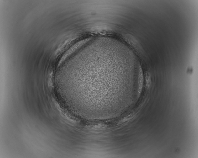 X0000110691060200906261339