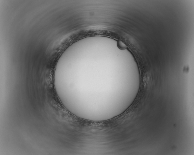 X0000110691062200906261338