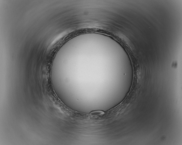 X0000110691064200906261338