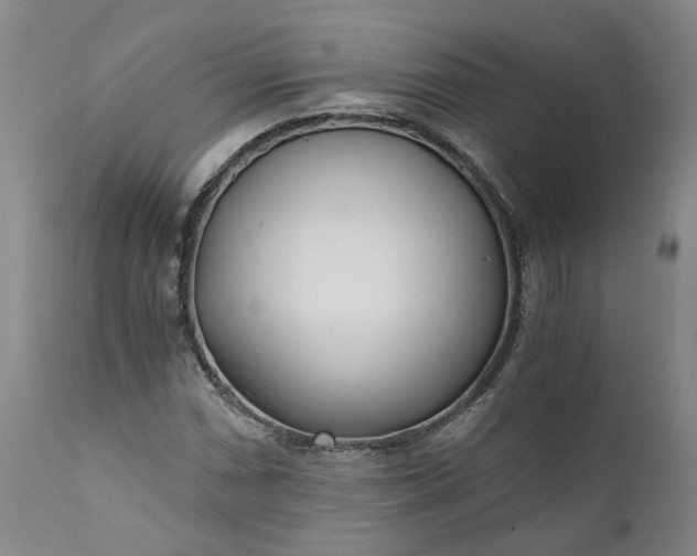 X0000110691066200906261338