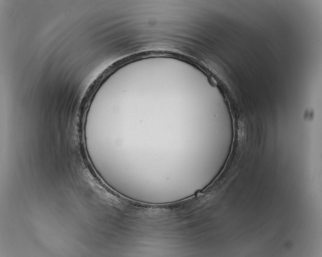 X0000110691068200906261338