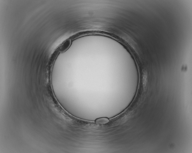 X0000110691069200906261338