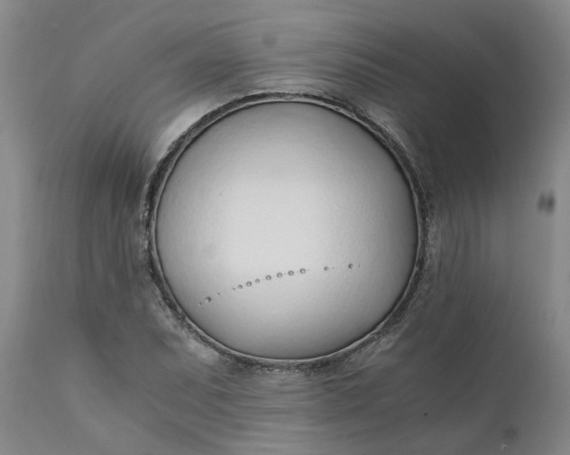 X0000110691071200906261338