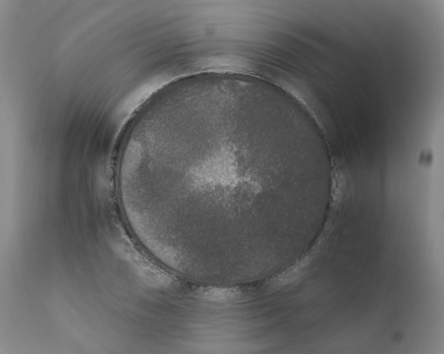 X0000110691074200906261338