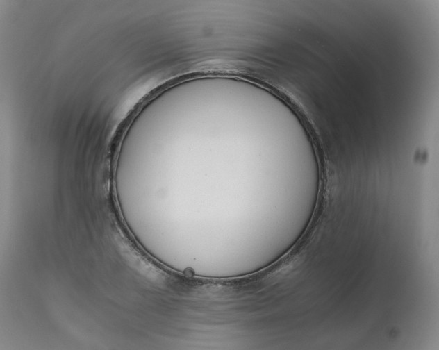 X0000110691075200906261338