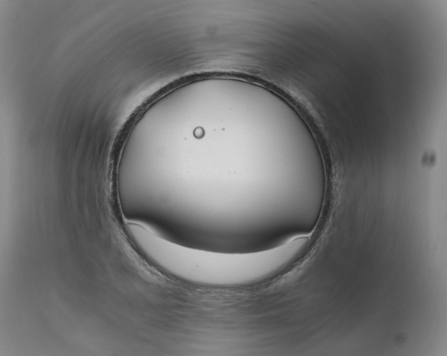 X0000110691077200906261338