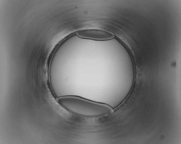 X0000110691080200906261338