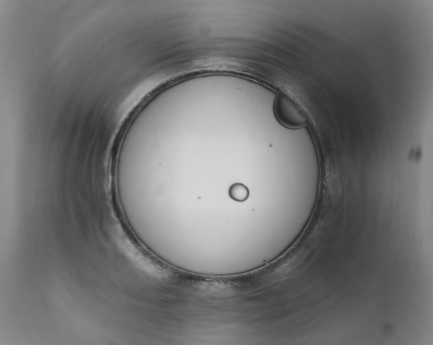 X0000110691082200906261338