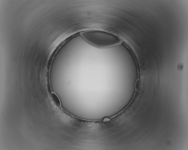 X0000110691085200906261338