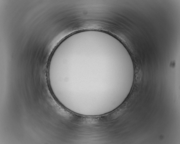 X0000110691086200906261338