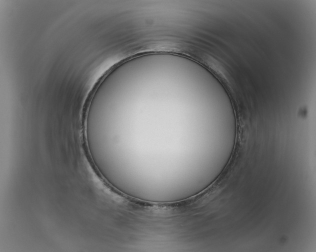 X0000110691087200906261338