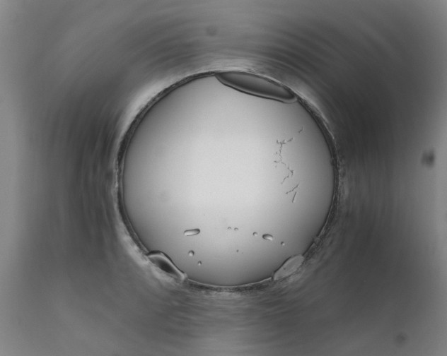 X0000110691088200906261338