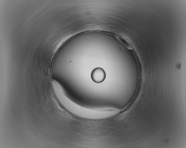 X0000110691089200906261338