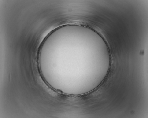 X0000110691091200906261338