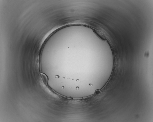 X0000110691092200906261338