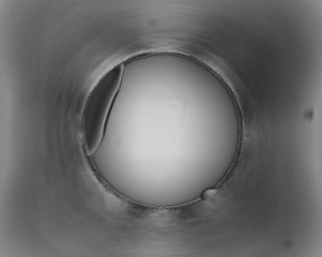 X0000110691093200906261338