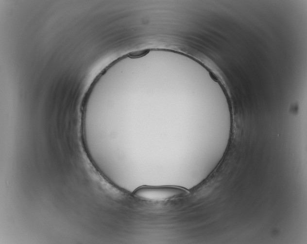 X0000110691096200906261338