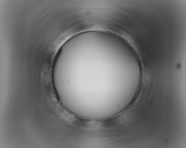 X0000110691097200906261338