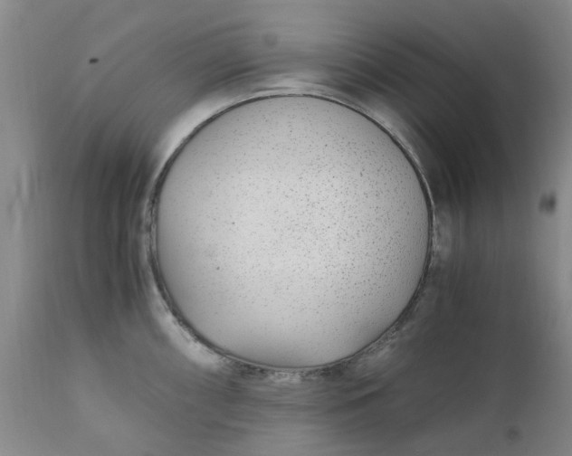 X0000110691098200906261338