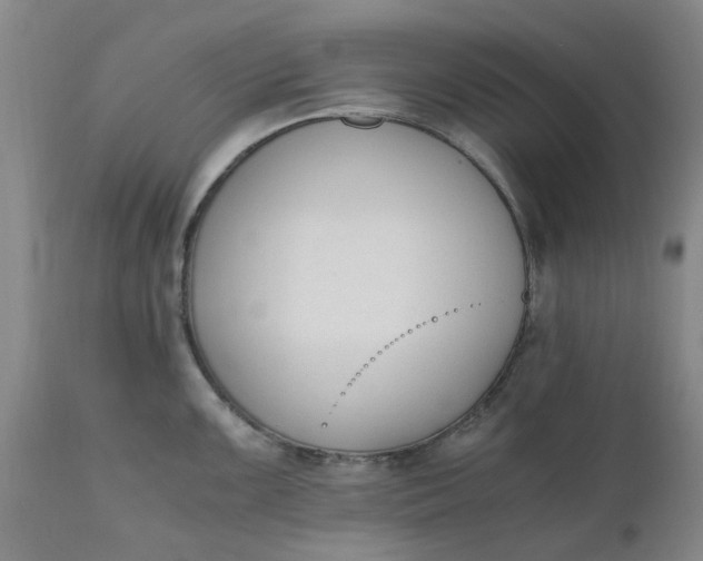 X0000110691099200906261338