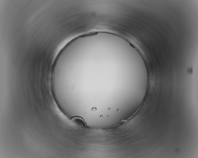 X0000110691100200906261338