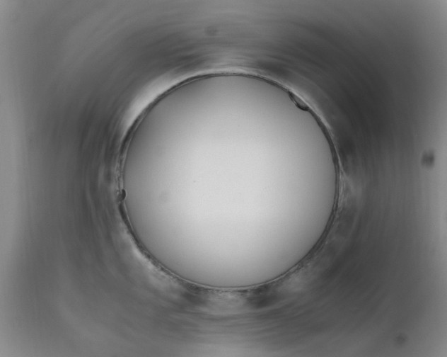 X0000110691101200906261338