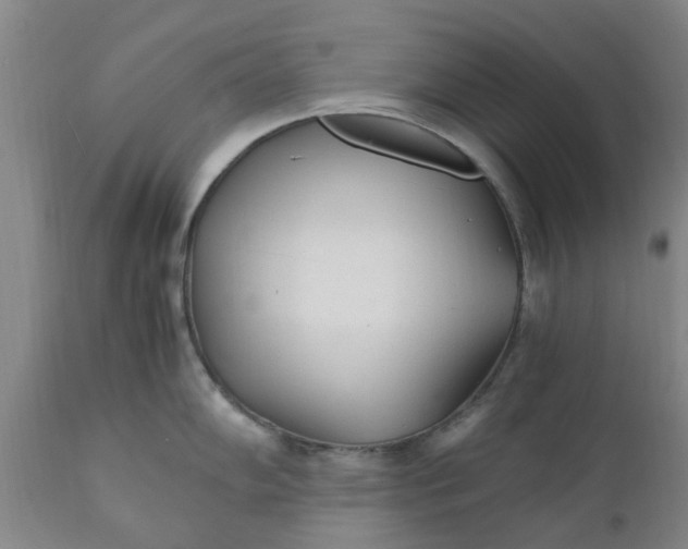 X0000110691102200906261338