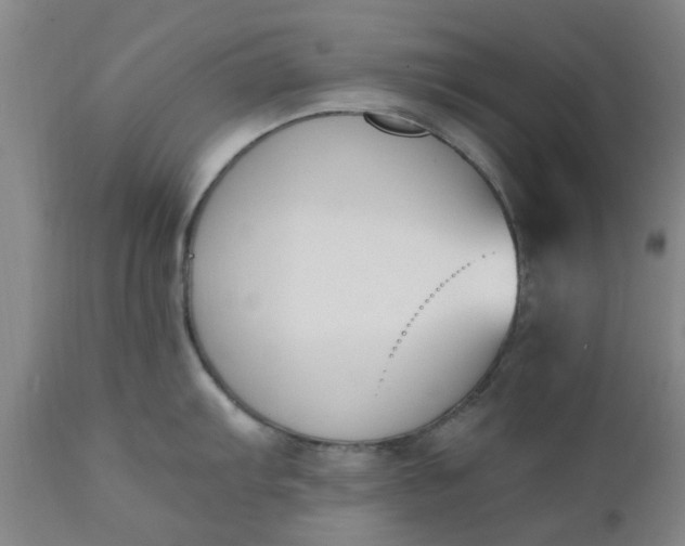 X0000110691103200906261338