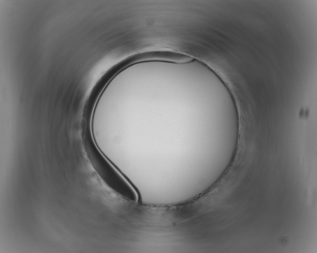 X0000110691104200906261338