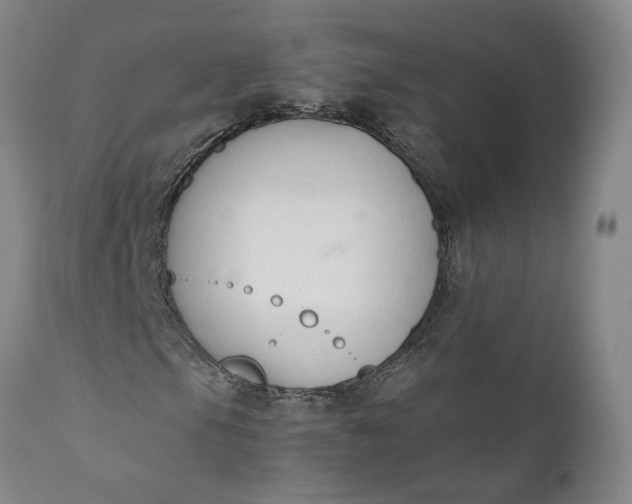 X0000110691105200906261337