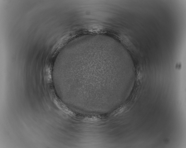 X0000110691106200906261337