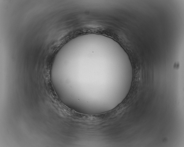 X0000110691109200906261337