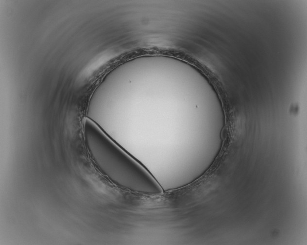 X0000110691112200906261337